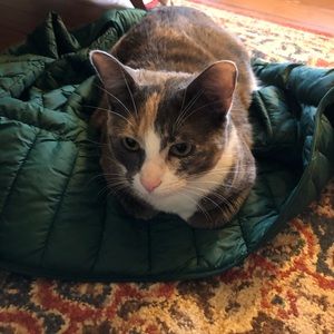 Meet your Posher, Isabelle